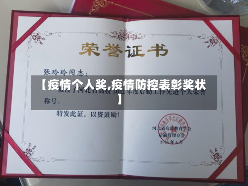 【疫情个人奖,疫情防控表彰奖状】-第2张图片