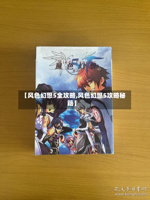 【风色幻想5全攻略,风色幻想5攻略秘籍】-第3张图片