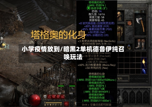小学疫情放到/暗黑2单机德鲁伊纯召唤玩法-第2张图片