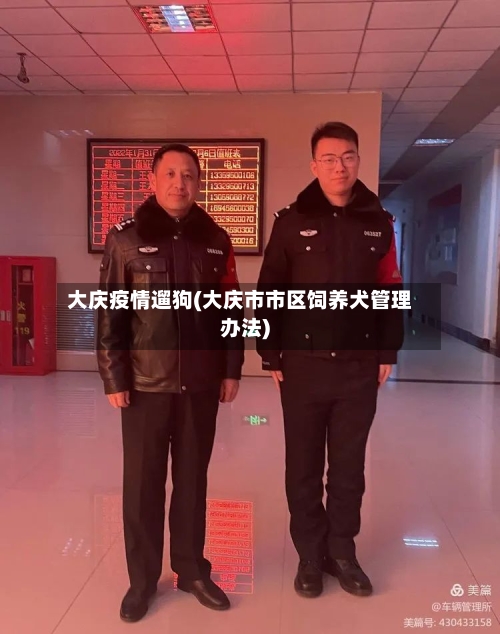 大庆疫情遛狗(大庆市市区饲养犬管理办法)-第2张图片