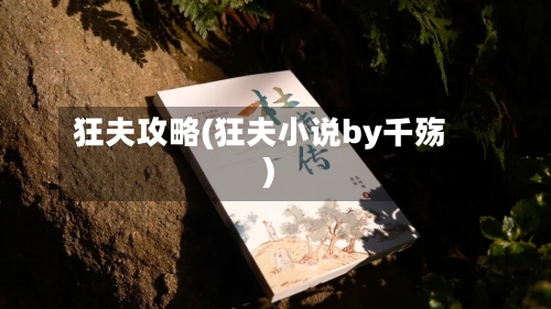狂夫攻略(狂夫小说by千殇)