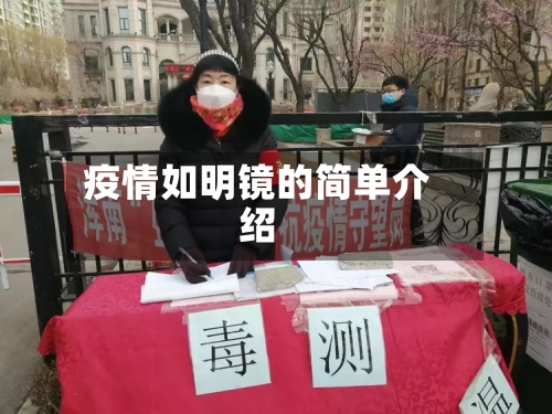 疫情如明镜的简单介绍-第3张图片