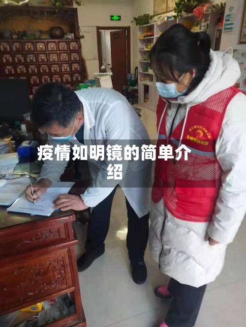 疫情如明镜的简单介绍-第2张图片