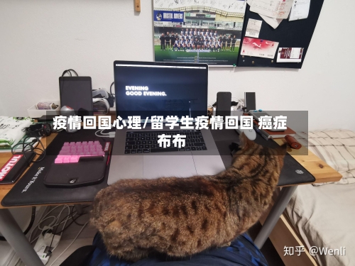疫情回国心理/留学生疫情回国 癌症 布布-第3张图片